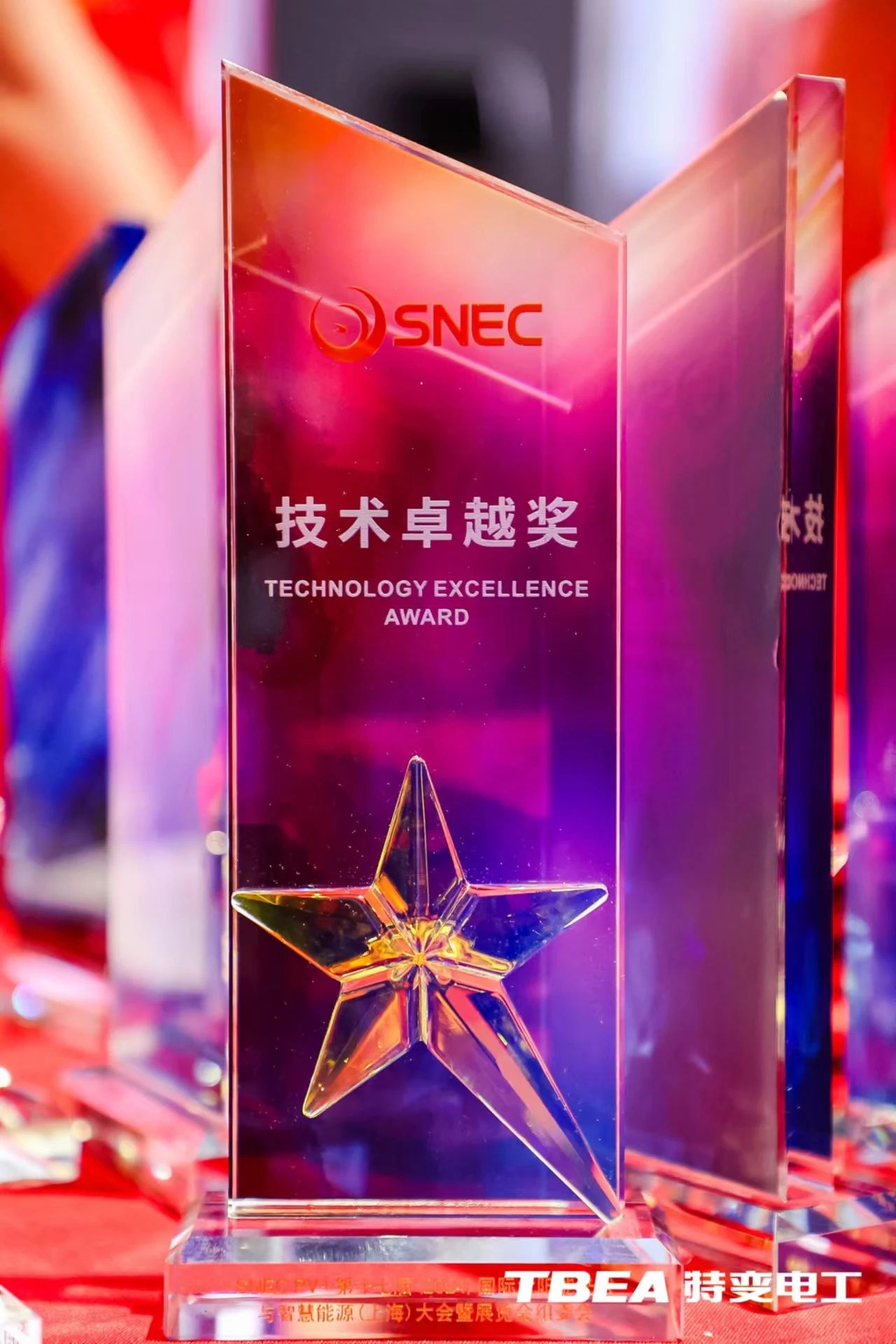 �ڲ���������Ϊ��,רҵ����