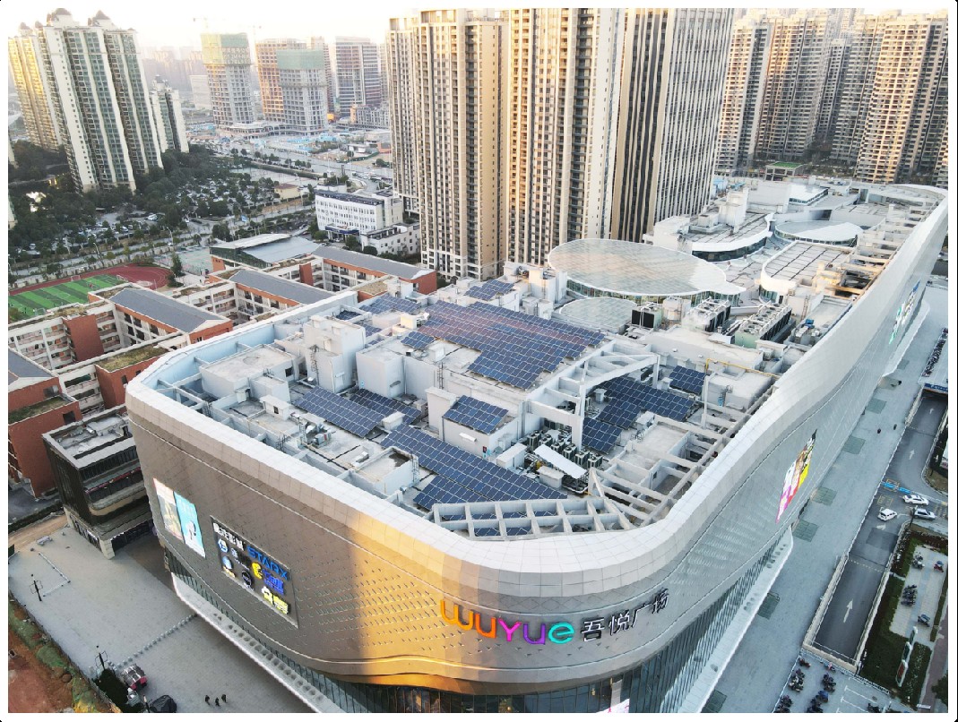 �ڲ���������Ϊ��,רҵ����