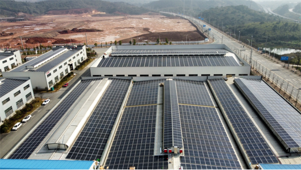 �ڲ���������Ϊ��,רҵ����